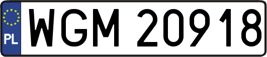WGM20918
