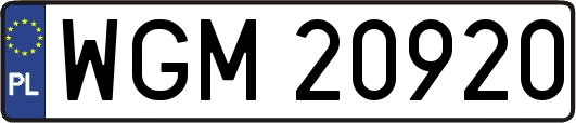WGM20920