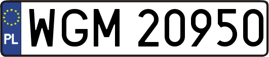 WGM20950