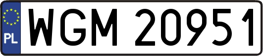 WGM20951