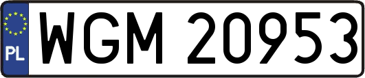 WGM20953