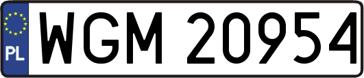 WGM20954