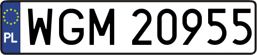 WGM20955