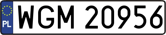 WGM20956