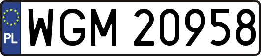 WGM20958