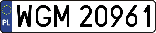 WGM20961