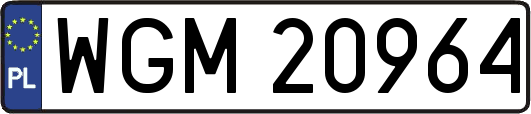 WGM20964