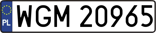 WGM20965
