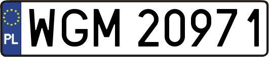 WGM20971