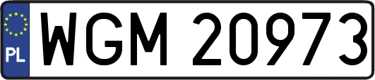 WGM20973