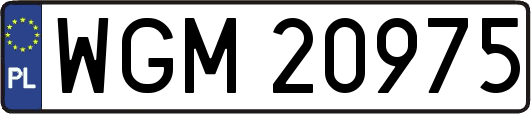 WGM20975