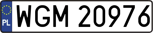 WGM20976