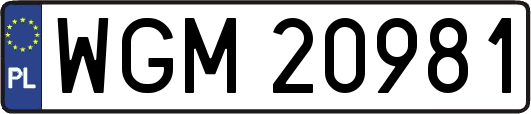 WGM20981