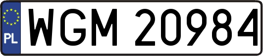 WGM20984