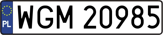 WGM20985