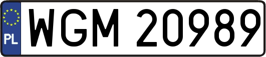 WGM20989