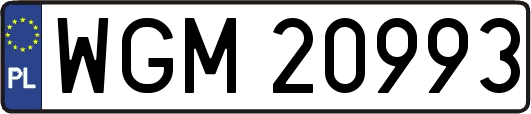 WGM20993