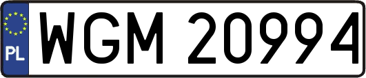 WGM20994