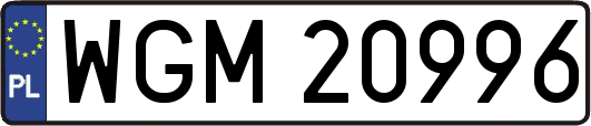 WGM20996
