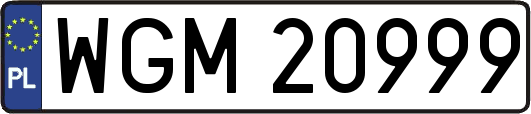 WGM20999