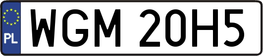 WGM20H5