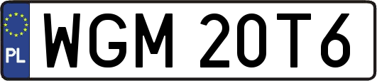 WGM20T6
