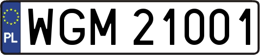 WGM21001