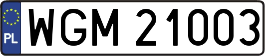 WGM21003