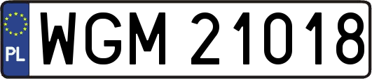 WGM21018