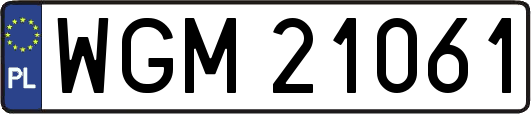 WGM21061