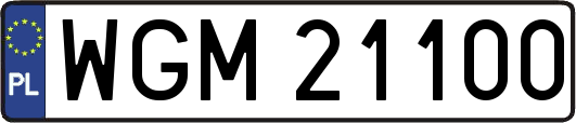 WGM21100