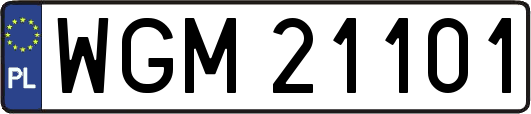 WGM21101