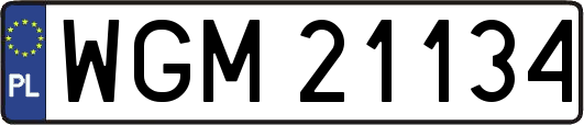 WGM21134