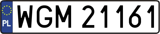 WGM21161