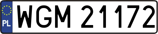 WGM21172