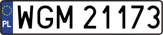 WGM21173