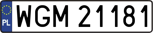WGM21181
