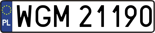 WGM21190