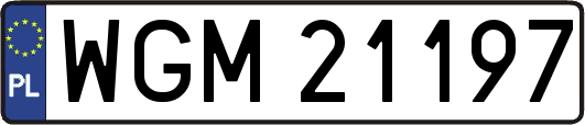 WGM21197