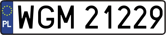 WGM21229