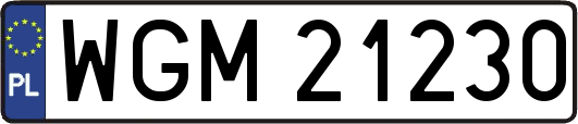 WGM21230
