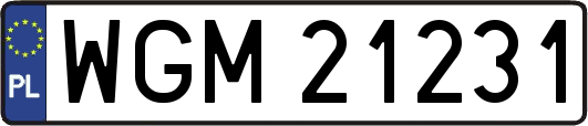 WGM21231