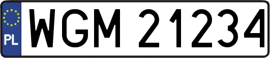 WGM21234