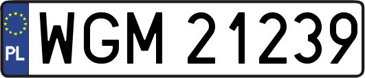 WGM21239