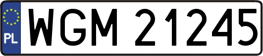 WGM21245