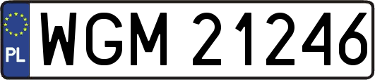 WGM21246