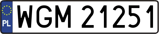 WGM21251