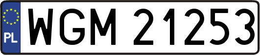 WGM21253