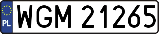 WGM21265