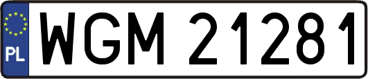 WGM21281
